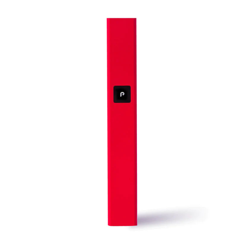 PLUGPLAY Battery