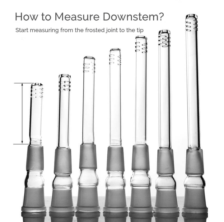 Roots Glass Gridded Downstem